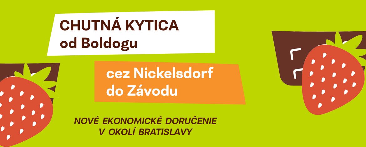 Nový ekonomický kuriér - Doručenie ďalej od Bratislavy